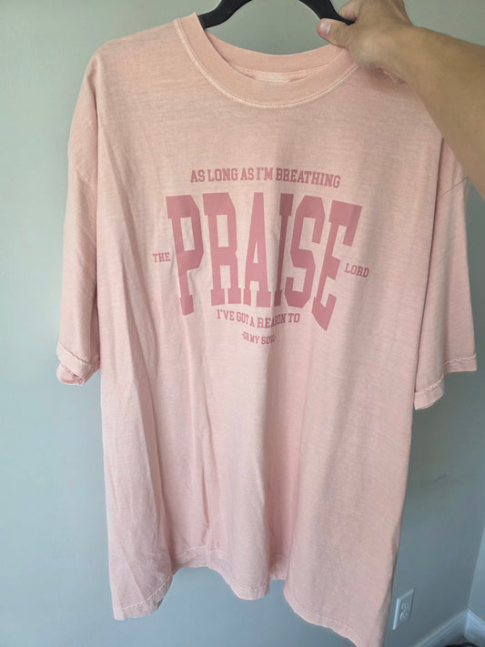 Praise The Lord - Comfort Colors (2X)